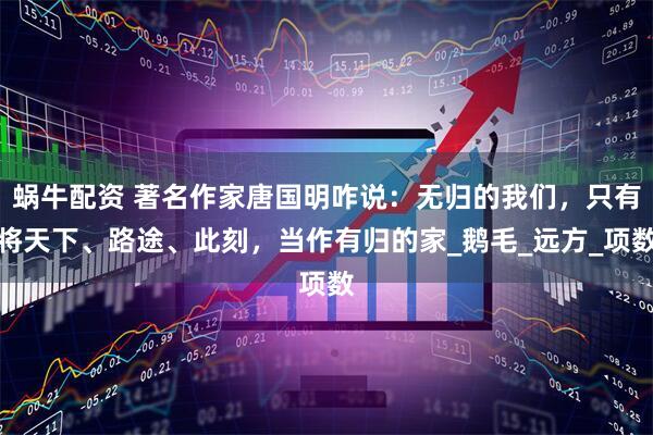 蜗牛配资 著名作家唐国明咋说：无归的我们，只有将天下、路途、此刻，当作有归的家_鹅毛_远方_项数